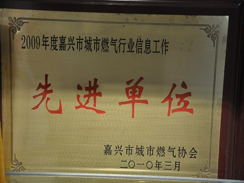 C:\Users\Administrator\Desktop\2010年\燃?xì)庑袠I(yè)信息工作（嘉燃協(xié)）\獎(jiǎng)牌.JPG
