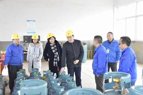 嘉燃集團(tuán)開展安全生產(chǎn)專項檢查.JPG