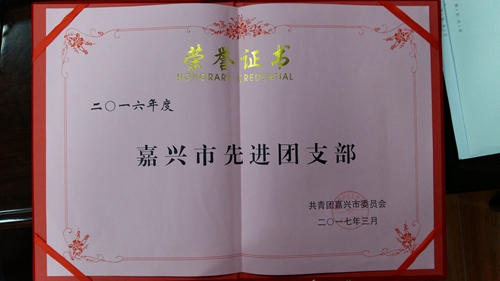 2016年度嘉興市先進團支部.jpg