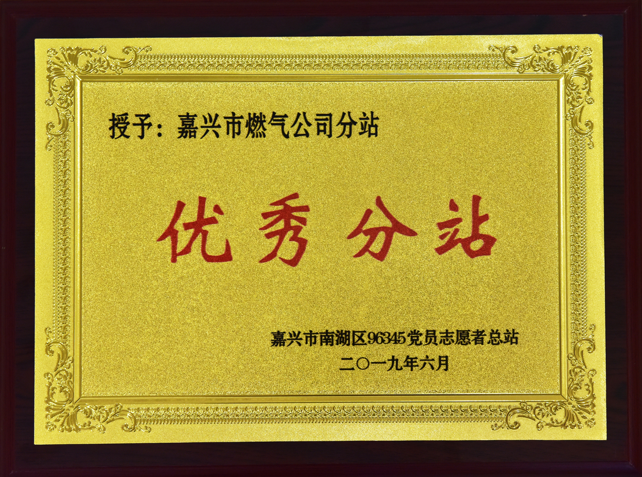 2019年6月，被嘉興市南湖區(qū)96345黨員志愿者總站授予”優(yōu)秀分站“榮譽(yù)稱(chēng)號(hào)。.JPG
